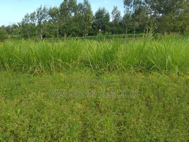 1 Acre -Farmland Narumoru - thumbnail 3