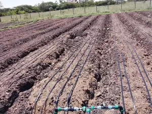 Drip Irrigation System Installation