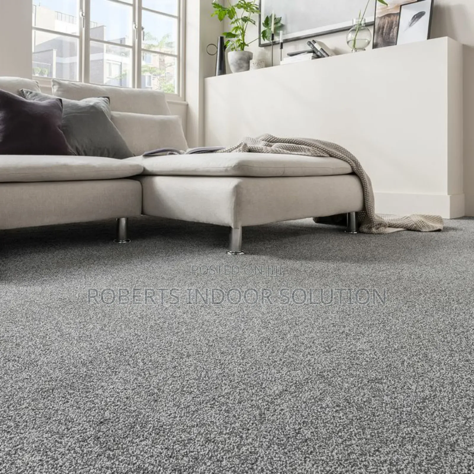 Delta Carpets Whispers of Wonder Under My Feets