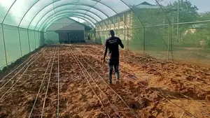Shade Net Installation