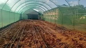 Shade Net Installation