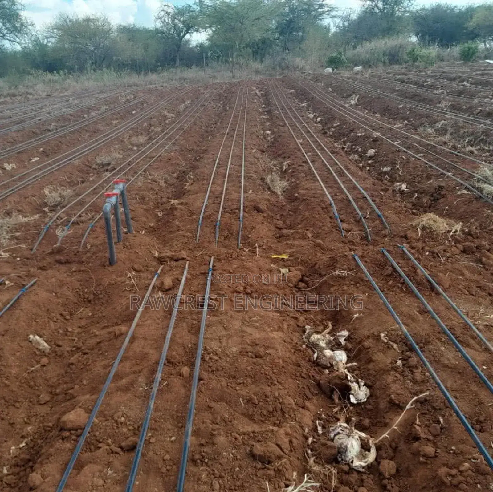 Open Irrigation System ,Drip Irrigation System Installation
