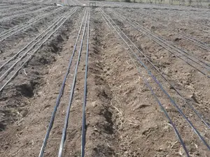 Open Irrigation System ,Drip Irrigation System Installation