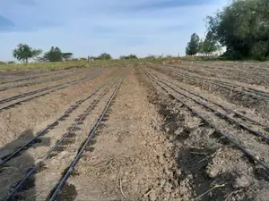 Open Irrigation System ,Drip Irrigation System Installation