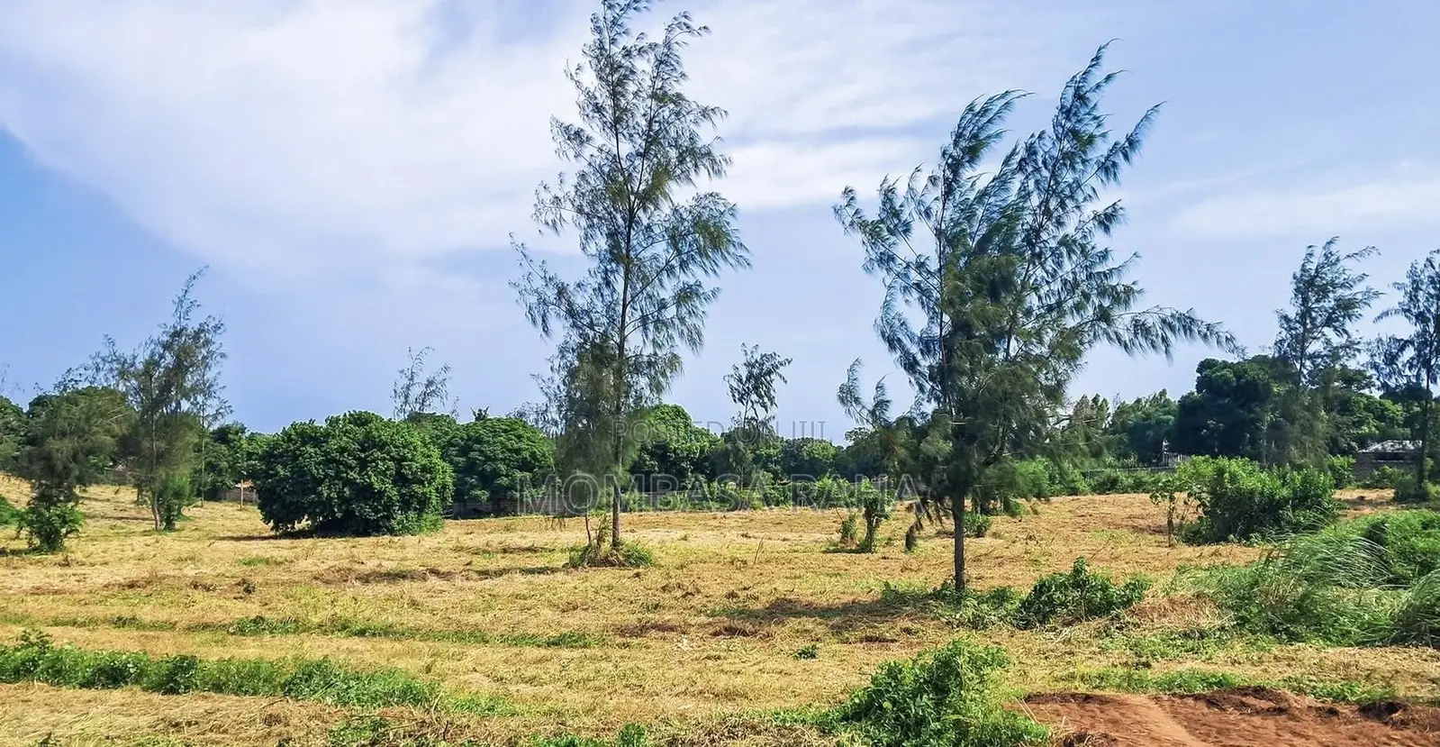1 Acre Agricultural Freehold Land