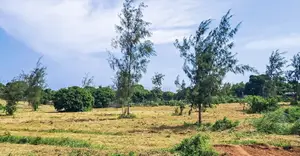 1 Acre Agricultural Freehold Land