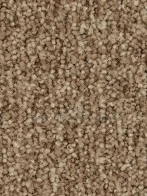 With Delta Carpet Turning My Floor to a Figment Imagination