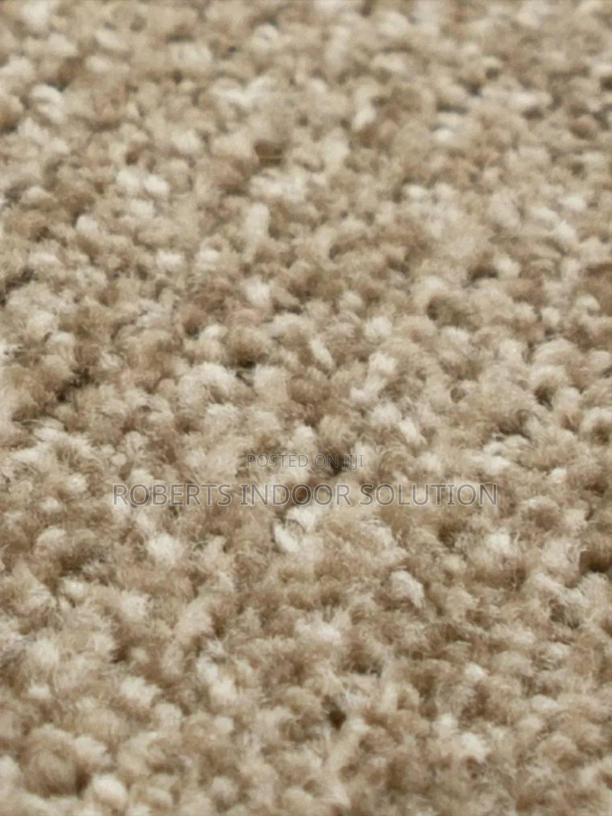 With Delta Carpet Turning My Floor to a Figment Imagination