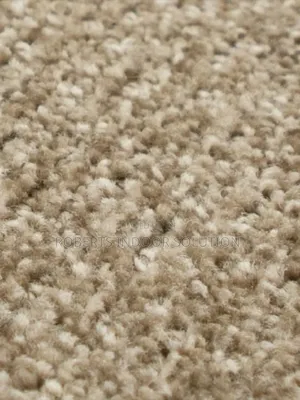 With Delta Carpet Turning My Floor to a Figment Imagination