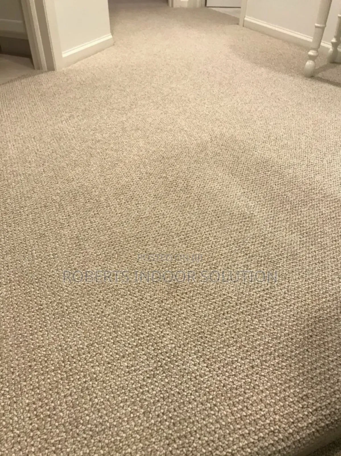 Delta Carpet ,Transforming Place in Artistic Grace
