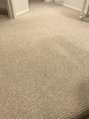 Delta Carpet ,Transforming Place in Artistic Grace