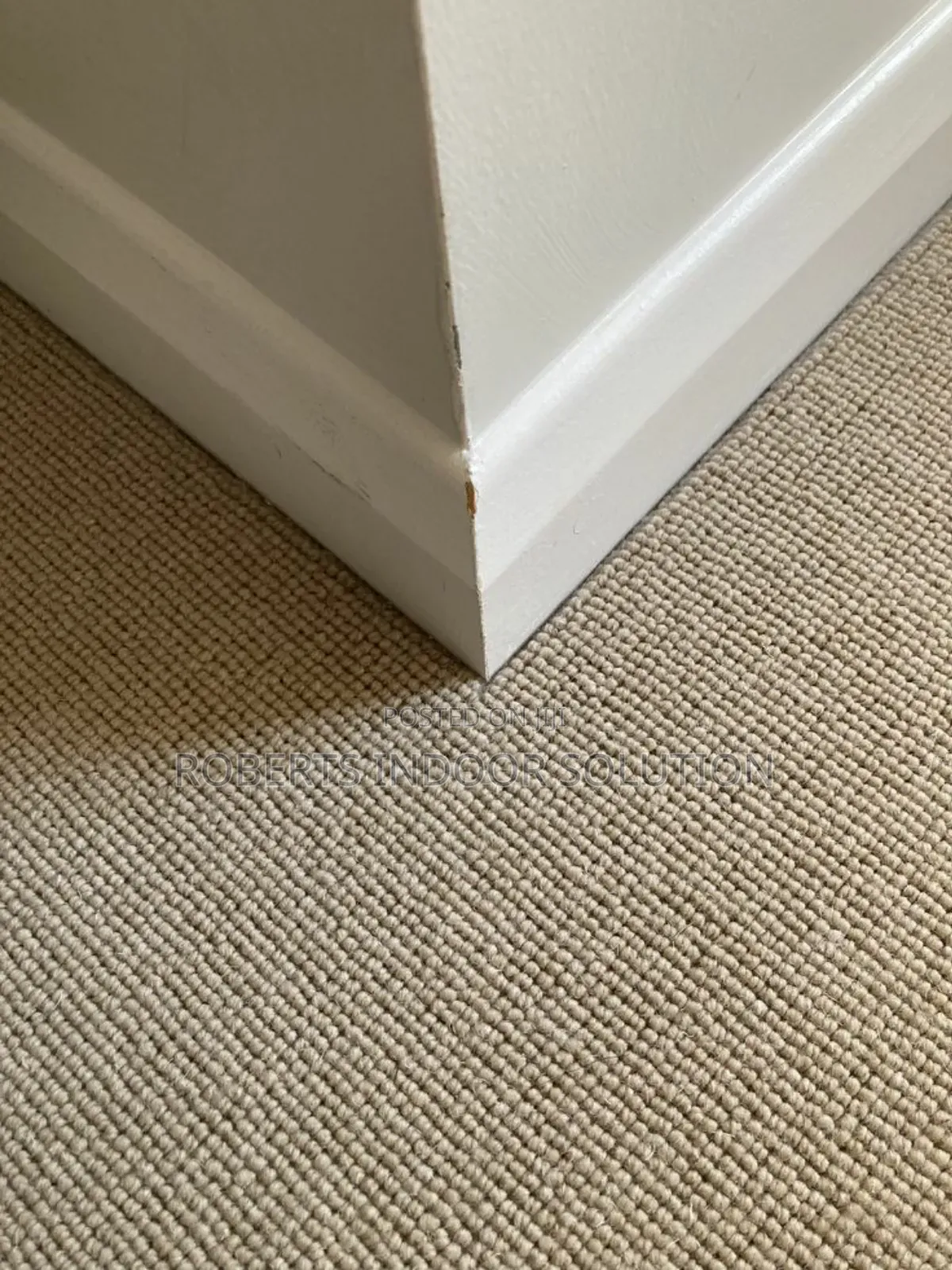 Delta Carpet ,Transforming Place in Artistic Grace