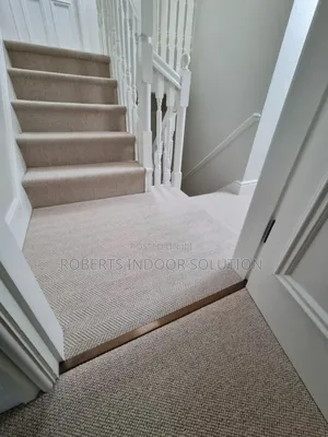 Delta Carpet Where Floor Talks Louder Than Words