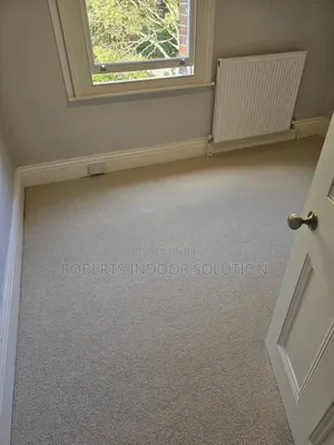 Delta Carpet Where Floor Talks Louder Than Words