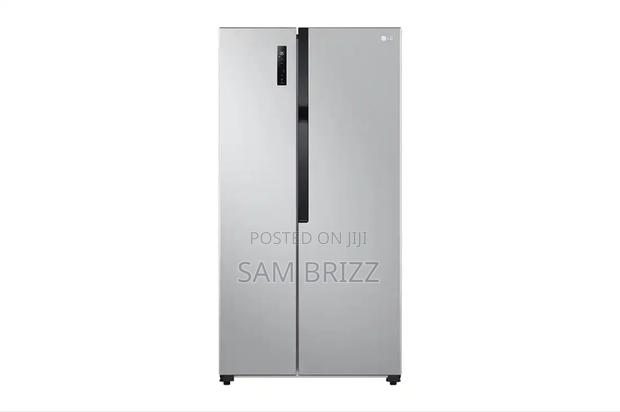 Lg 519l Refrigerator - main view