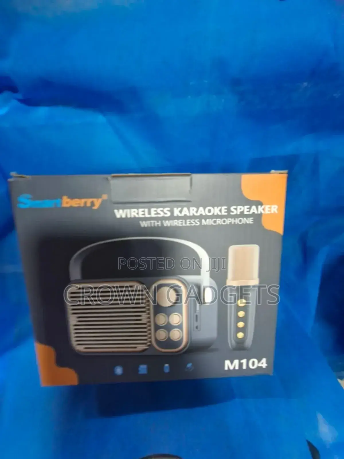 Karaoke Microphone