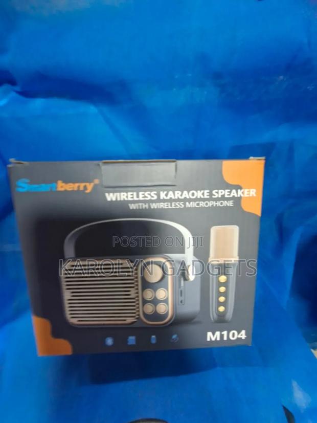 Karaoke Microphone - main view