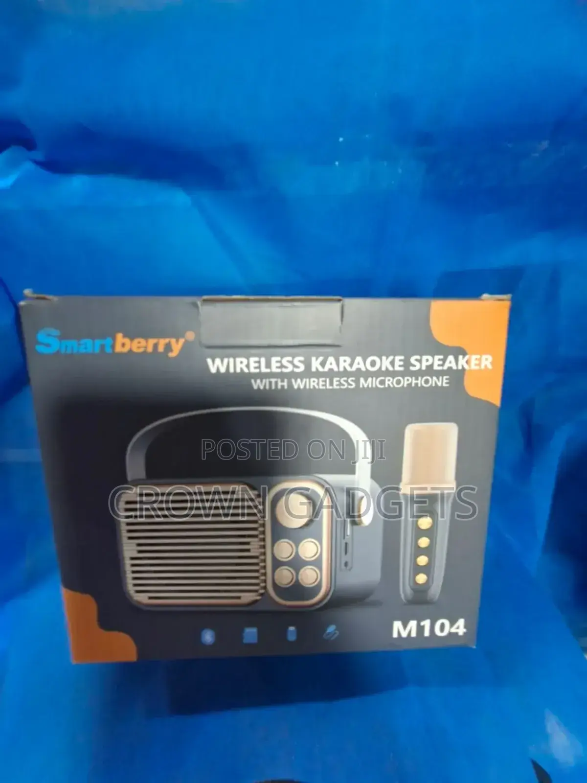 Karaoke Microphone