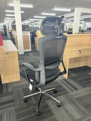 Orthopedic Chair:: Executive High Mesh Fixed Armrest Seat