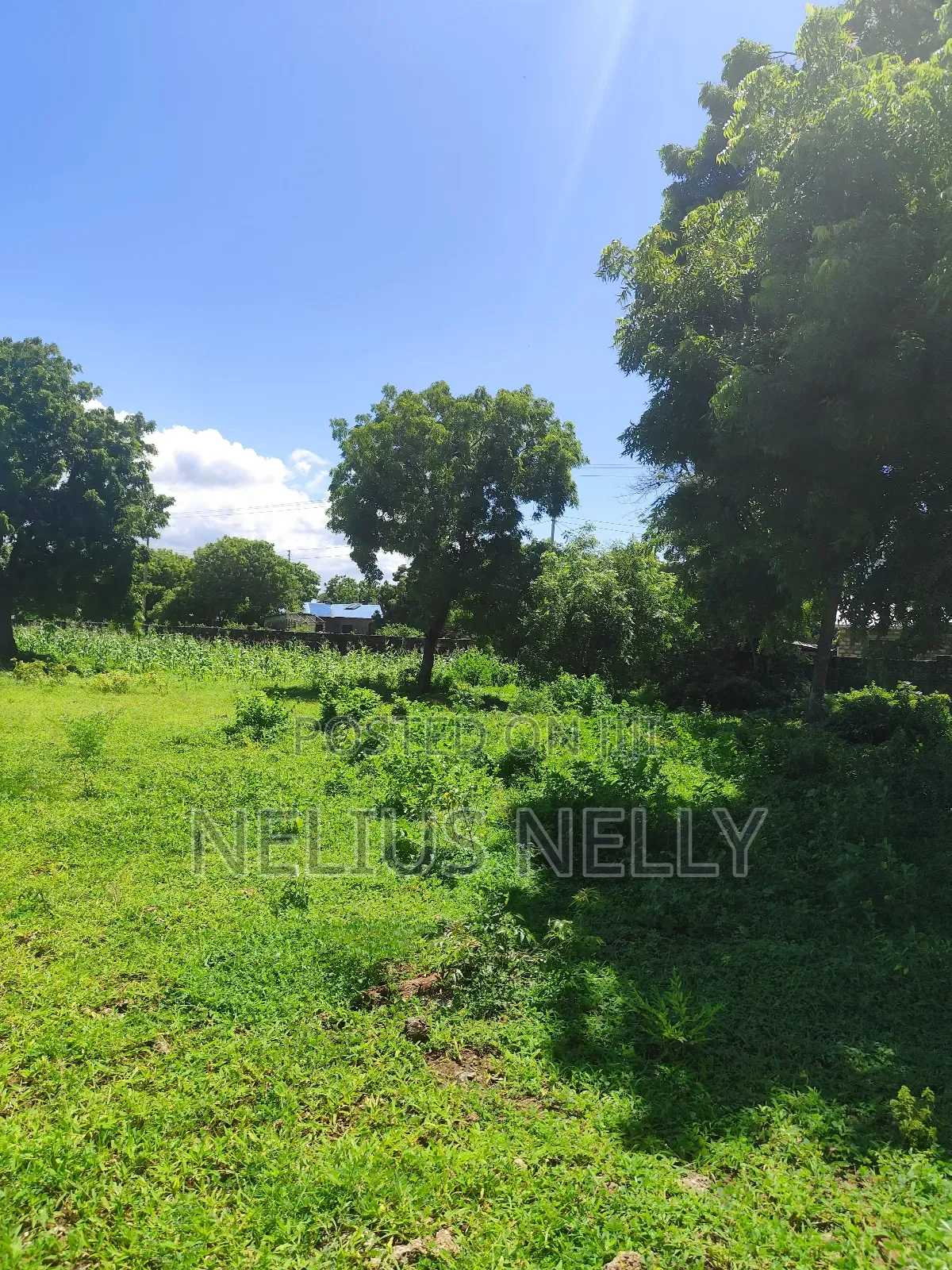 3acres 2nd Row Beach Plots Kilifi Bofa