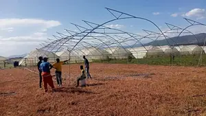 Green House Construction