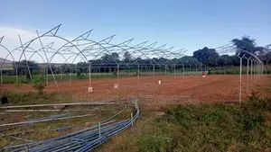 Green House Construction