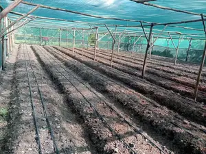 Greenhouse Installation And Drip Irrigation System