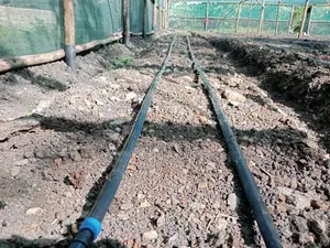 Greenhouse Installation And Drip Irrigation System