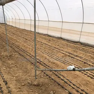 Greenhouse Construction