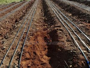 Drip Irrigation System Installation - main view