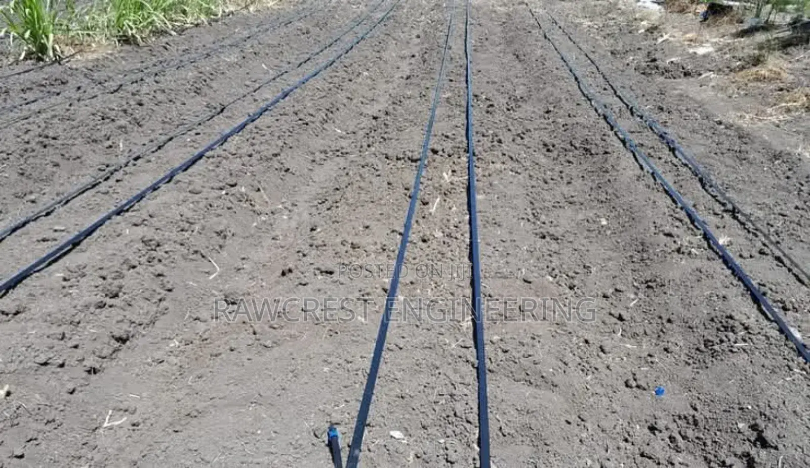 Drip Irrigation System Installation