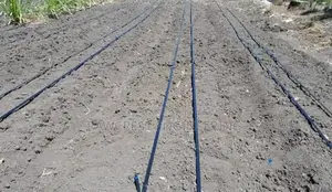 Drip Irrigation System Installation