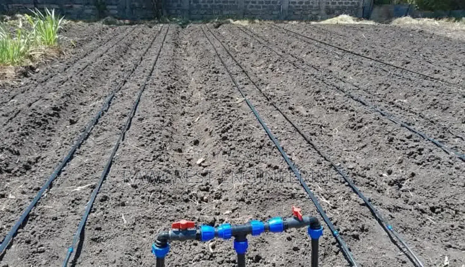 Drip Irrigation System Installation