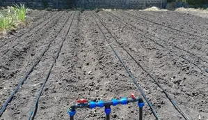 Drip Irrigation System Installation