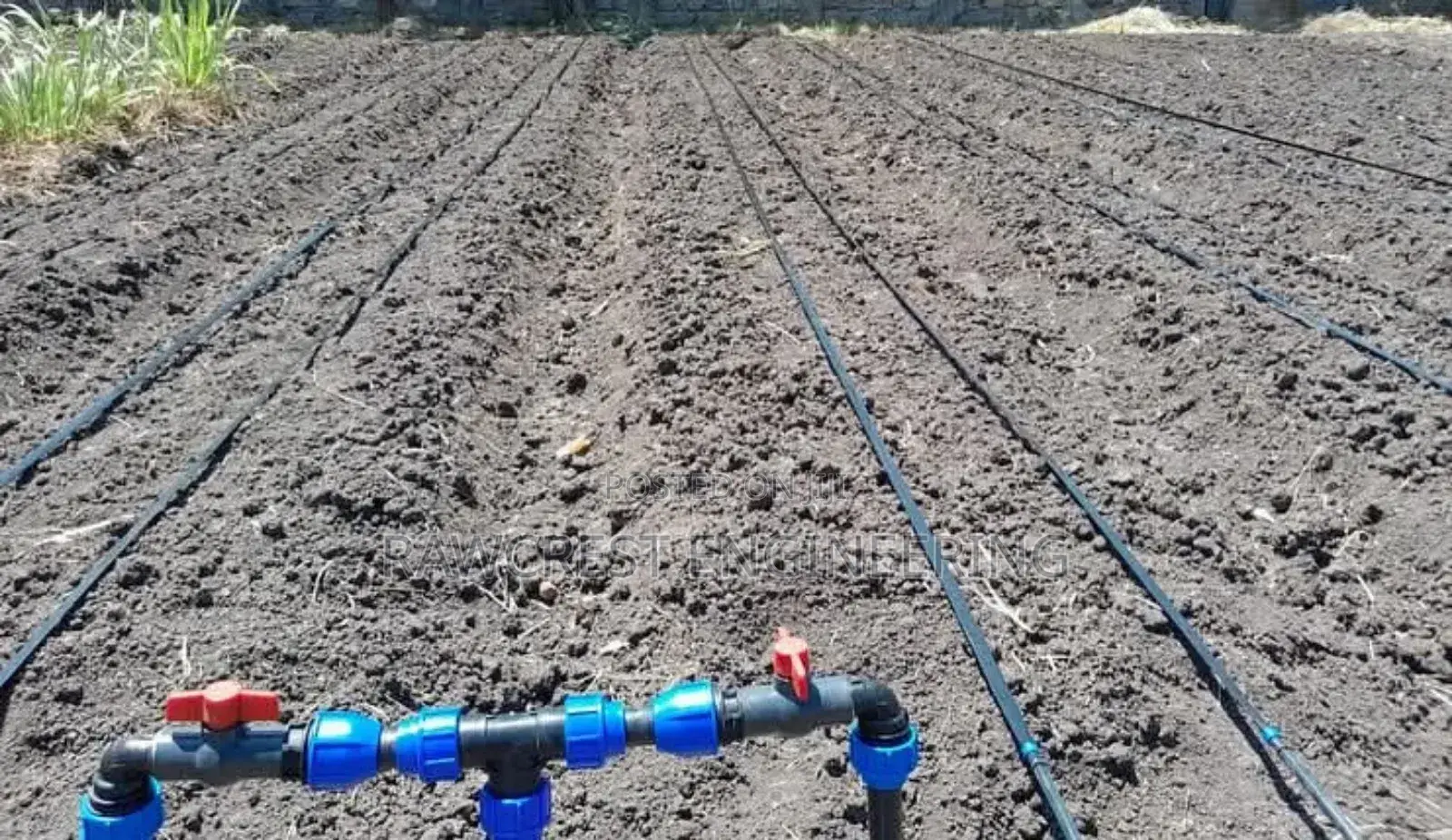 Drip Irrigation System Installation