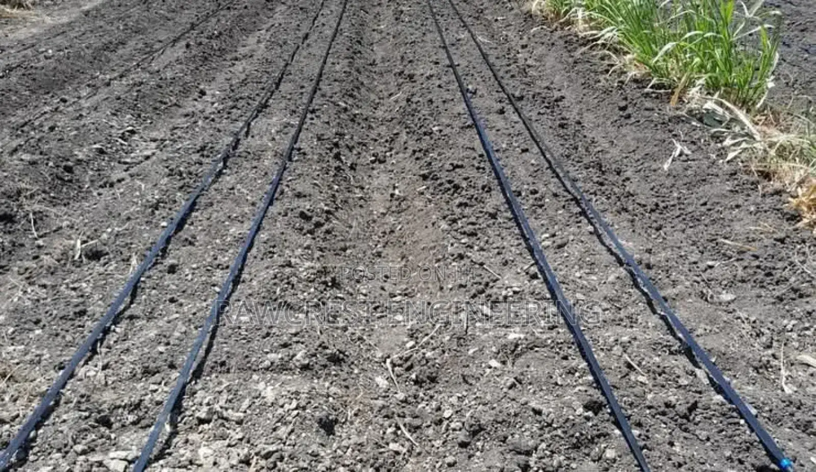 Drip Irrigation System Installation