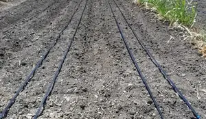 Drip Irrigation System Installation