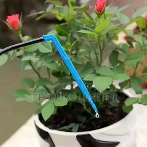 Arrow Drippers Long Bend
