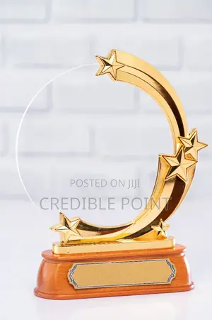 Circular Award With a Golden Outline