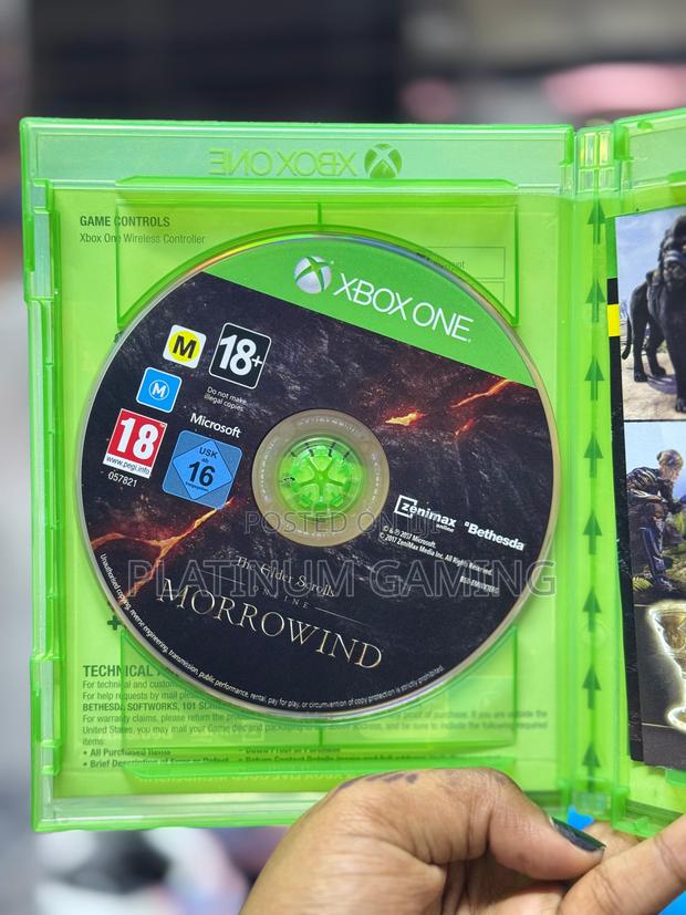 The Elder Scrolls Online: Morrowind (Xbox One) - main view