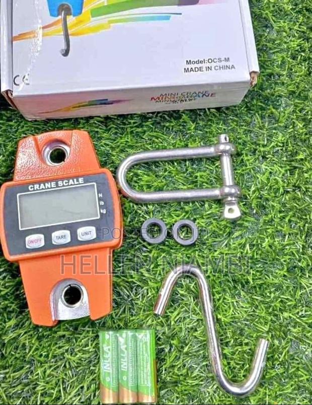Mini Crane Weighing Scale 200kgs - main view