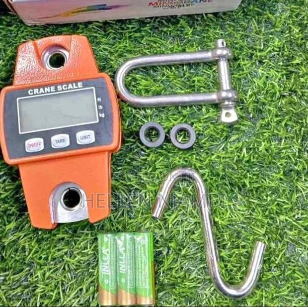 Mini Crane Scale 200kgs Weight - main view