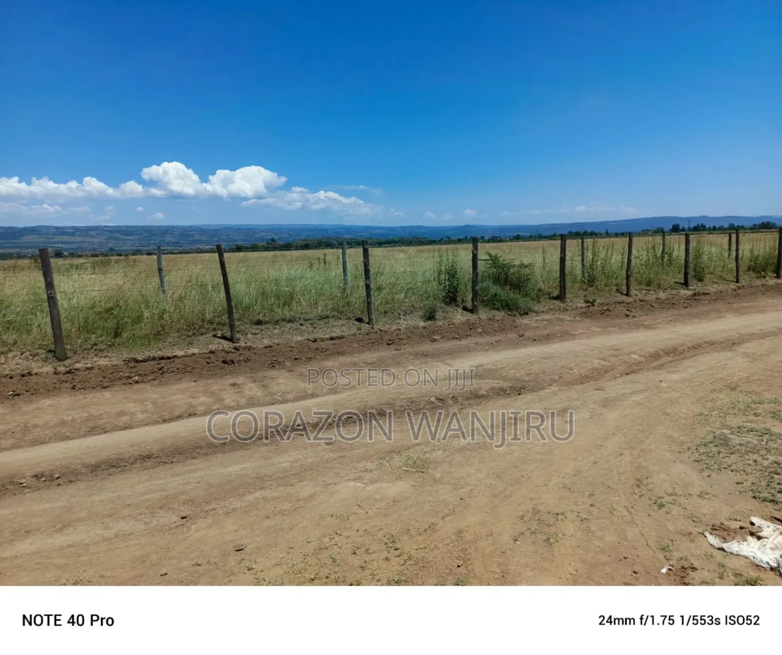 50*100plots in Mutaita Stima Line