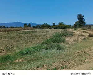 50*100plots in Mutaita Stima Line