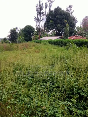An Acre of Land Is on Sale at Kenol-Karūgia Mariani