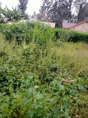 An Acre of Land Is on Sale at Kenol-Karūgia Mariani