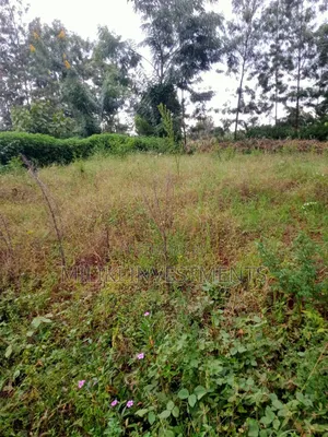 An Acre of Land Is on Sale at Kenol-Karūgia Mariani