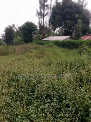 An Acre of Land Is on Sale at Kenol-Karūgia Mariani
