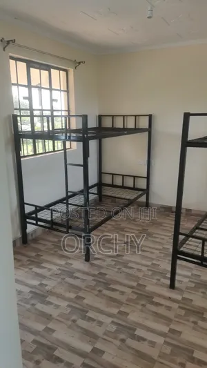 School Bed / Collage Beds