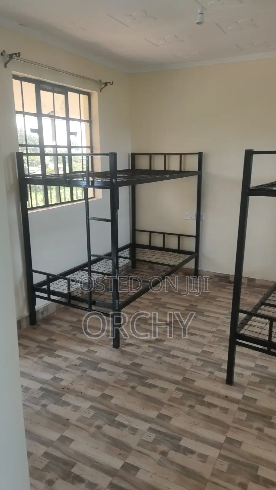School Bed / Collage Beds